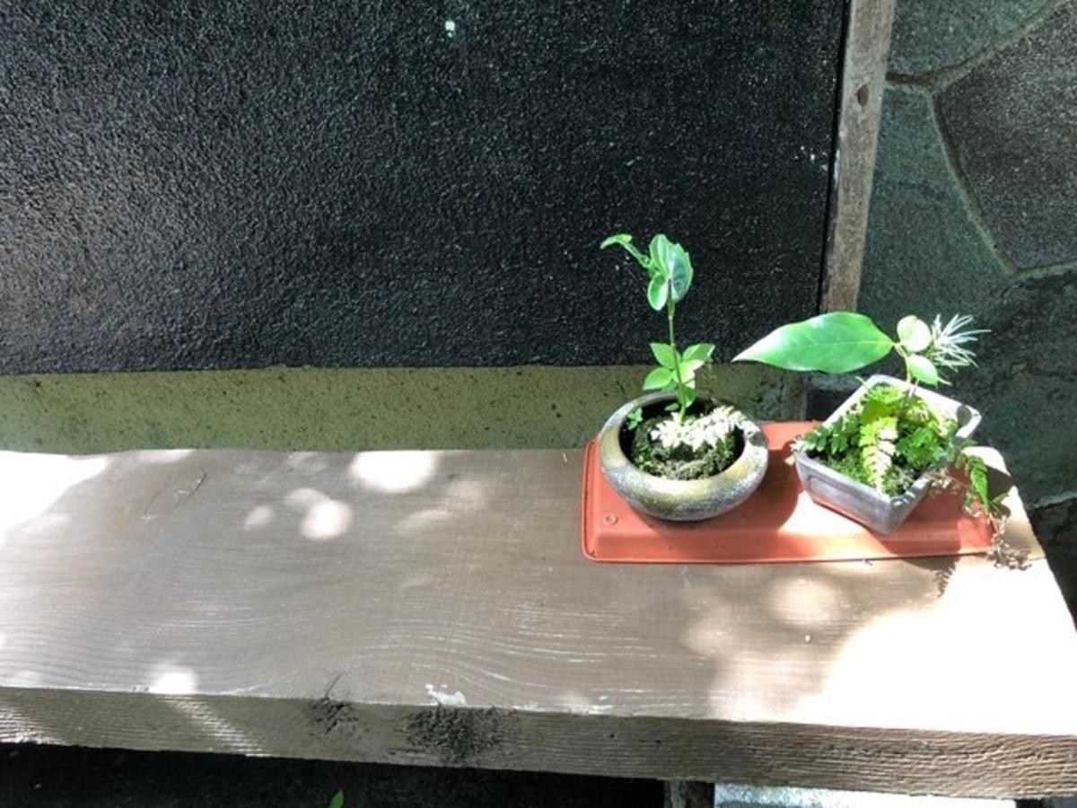 Chambre Dhote Tatami Suwa  Eksteriør bilde